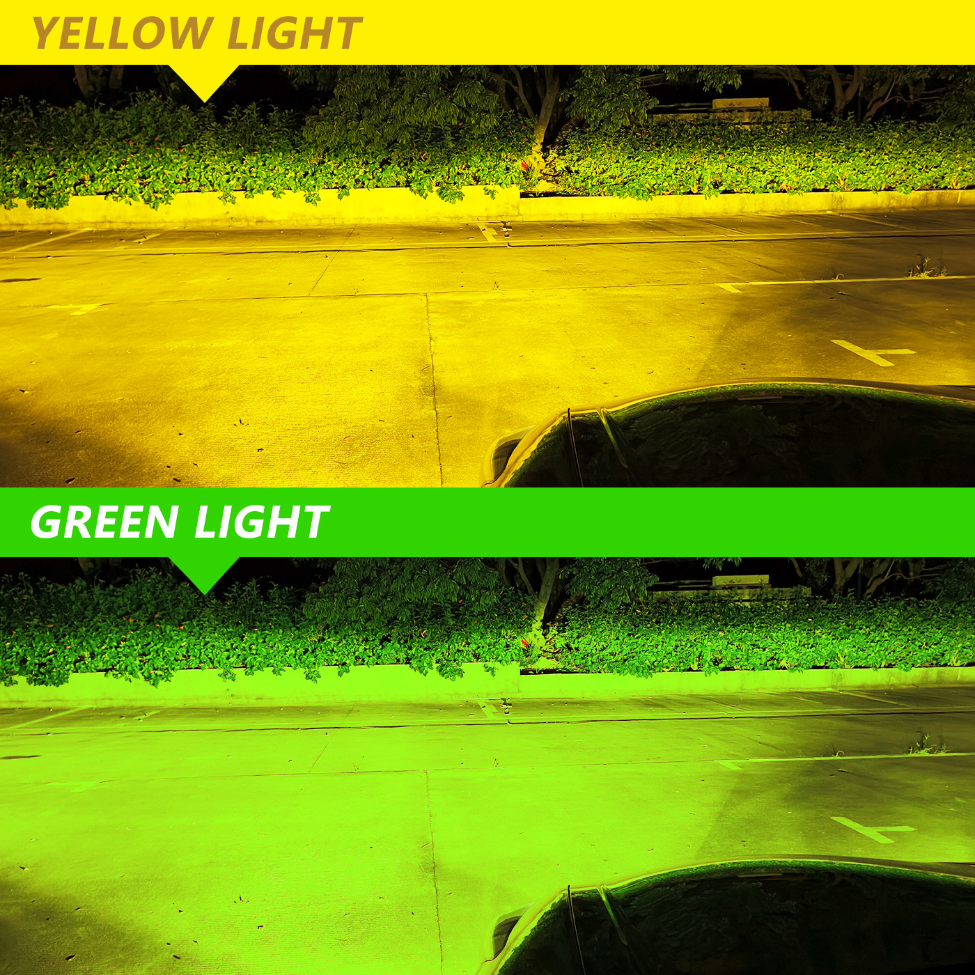 M6L LED Headlight Bulbs(图1) M6L LED Headlight Bulbs(图1)