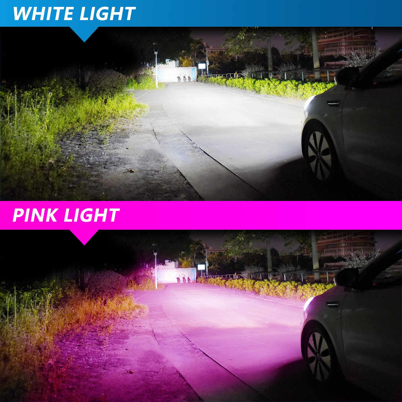 M6P Dual-Color LED Headlight Bulbs(图1) M6P Dual-Color LED Headlight Bulbs(图1)